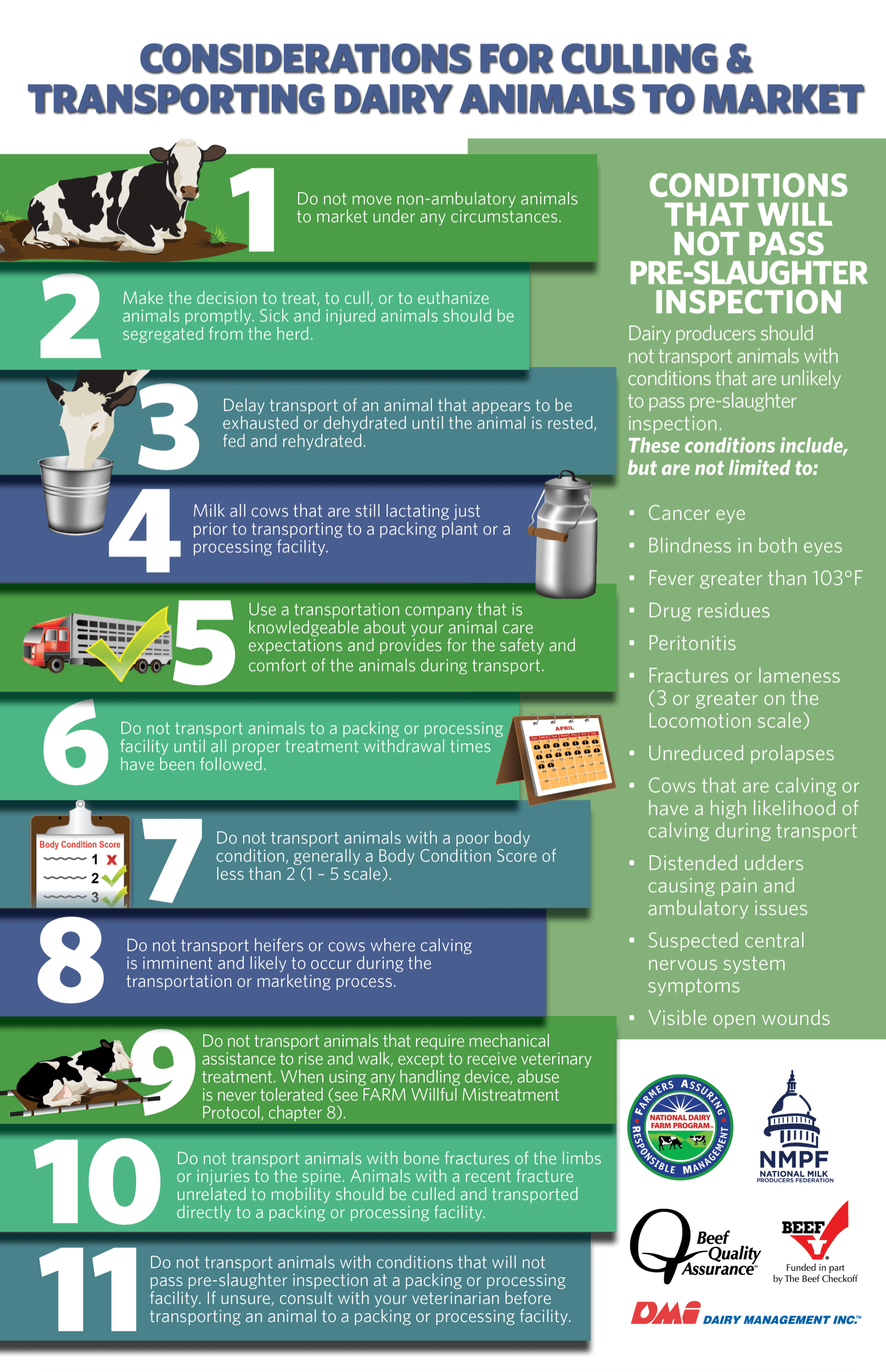 Animal Care National Dairy Farm