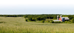 Dairy farm fields