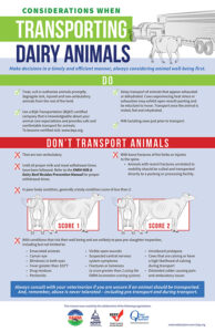 FARM DairyCulling Poster